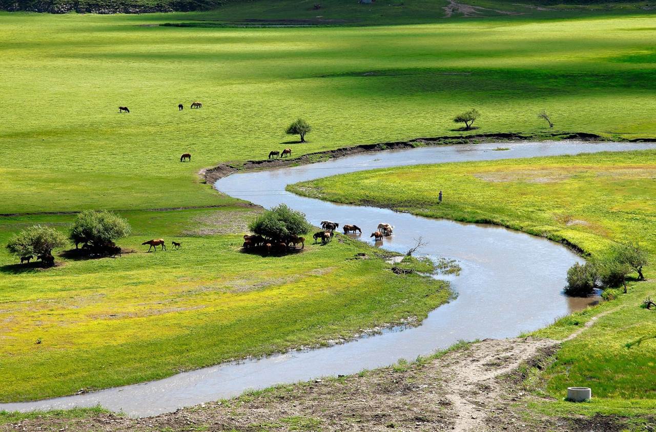 inner mongolia